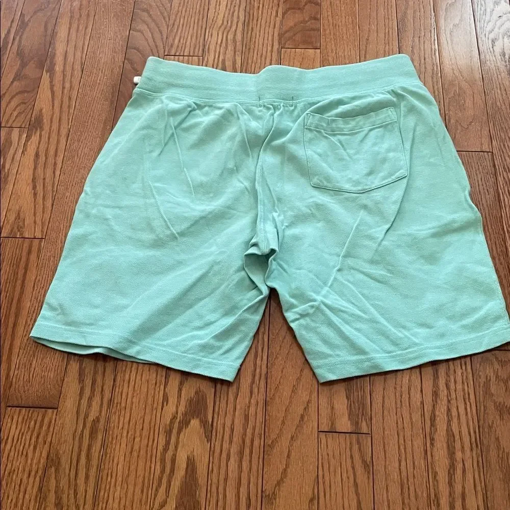 Polo Ralph Lauren Big Pony Mint Green Sz Small